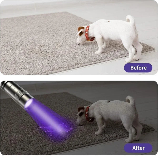 Pocket UV Detective Light